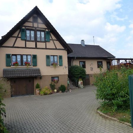 Gite 3 Frontieres Hagenthal-le-Bas Exterior foto